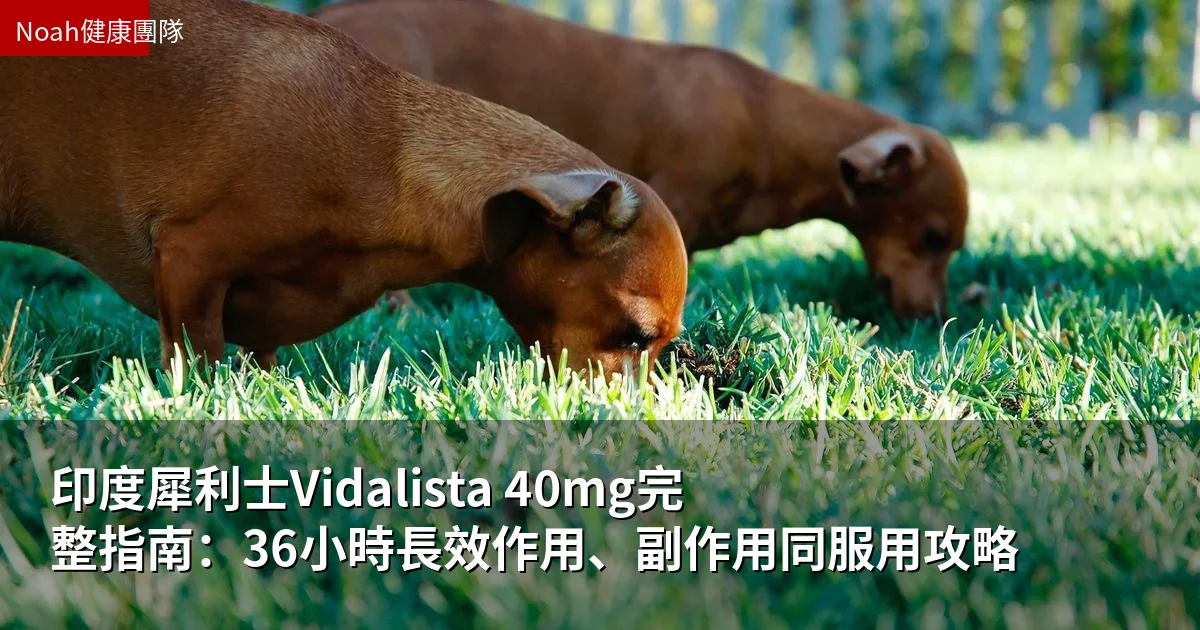 印度犀利士Vidalista 40mg完整指南:36小時長效作用、副作用同服用攻略