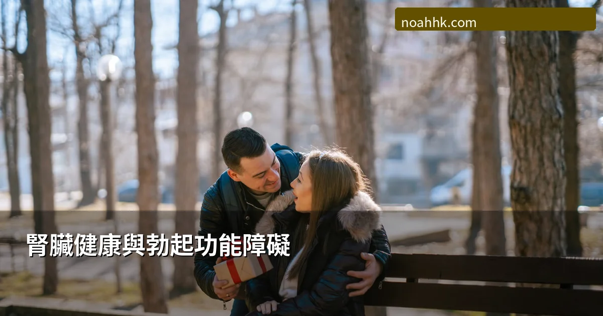 腎臟健康與勃起功能障礙